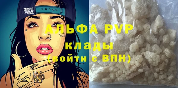 PSILOCYBIN Корсаков