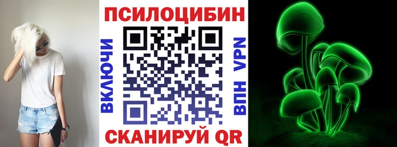 Псилоцибиновые грибы Psilocybe купить наркотики сайты Отрадный